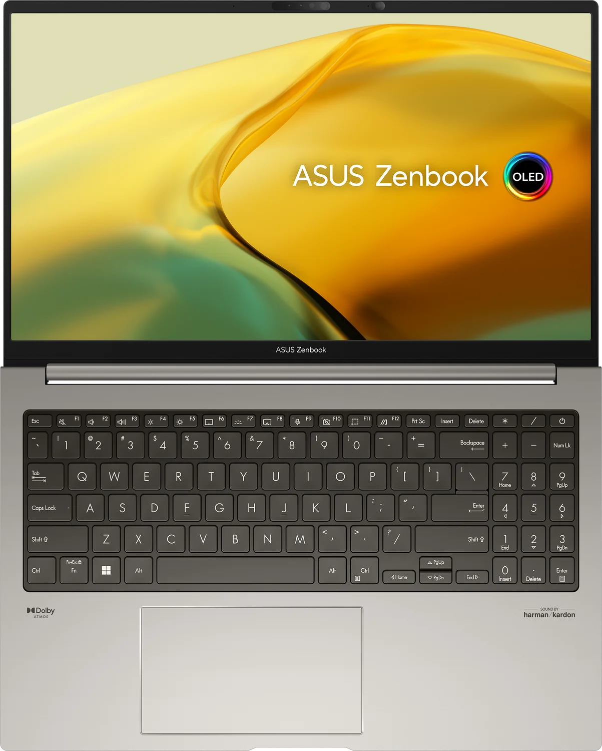 Asus ZenBook 15 OLED (UM3504DA-MA251) - Grey