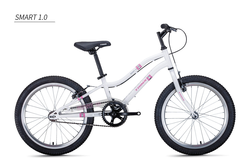 Trinx bike SMART 1.0
