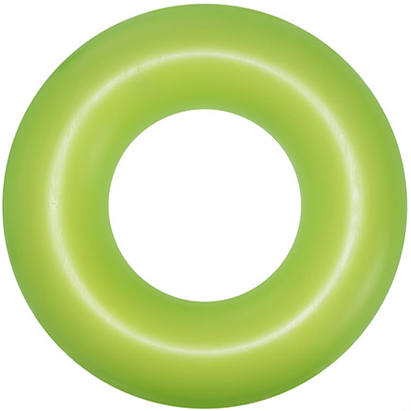 BESTWAY 36024 Inflatable Camera