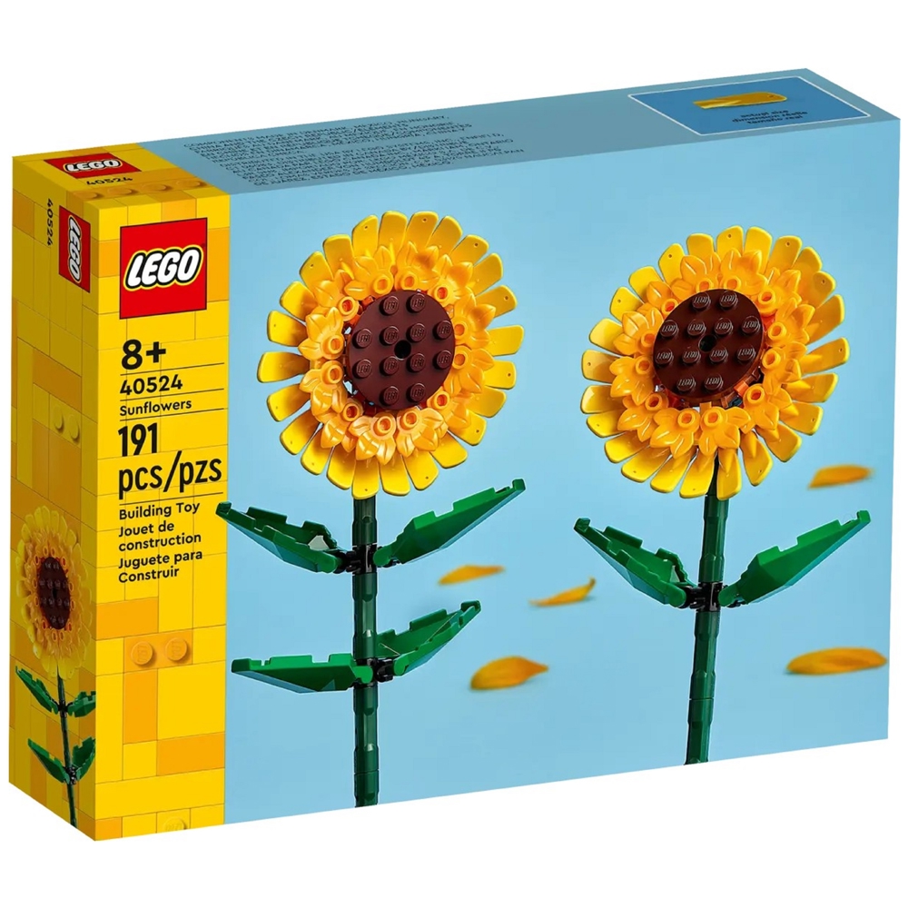 LEGO Building Blocks 40524