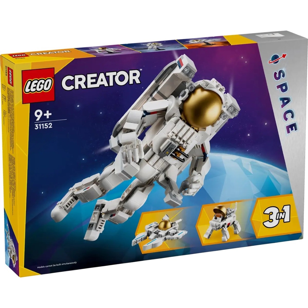 LEGO Building Blocks 31152