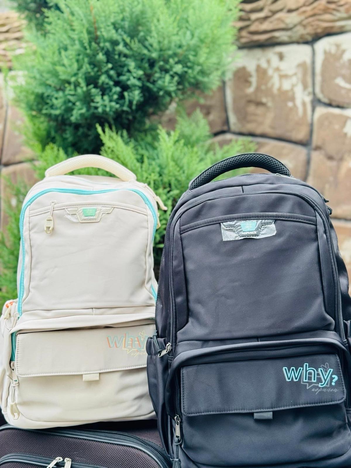 School backpack