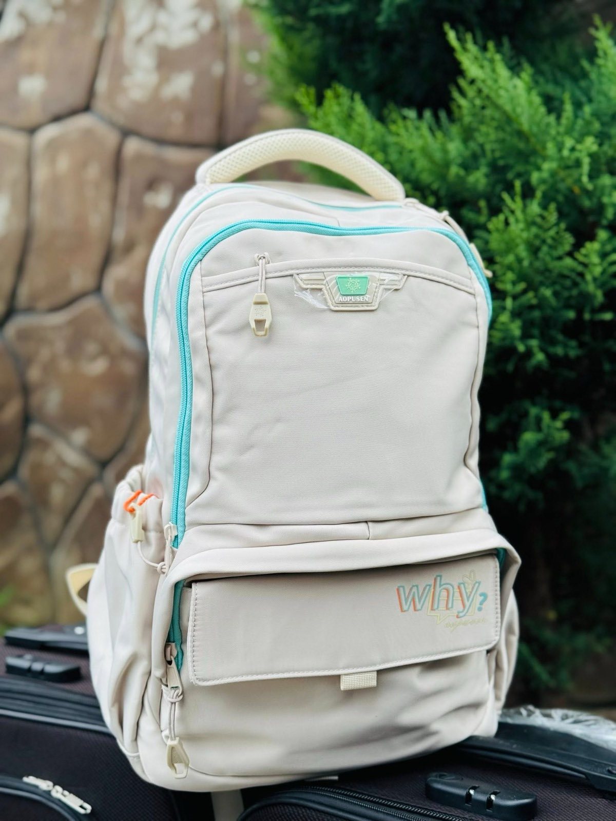 School backpack